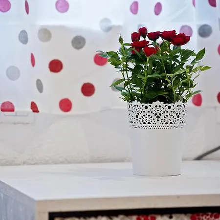 Studio Marijana Apartmán *
